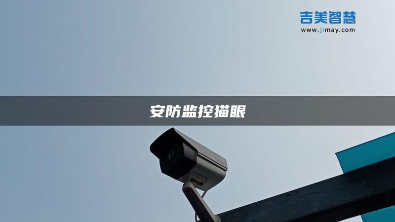 指纹门禁考勤系统与家用锁：功能与适用场景的深度解析**