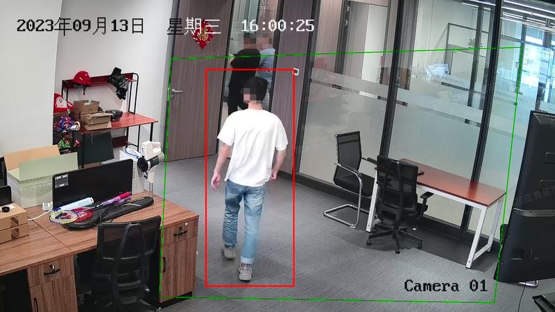 别墅安防监控定制安装，如何确保专业与安全？**
